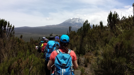 Our first "WOW" moment view of Mt Kilimanjaro from the lower alpine zone.